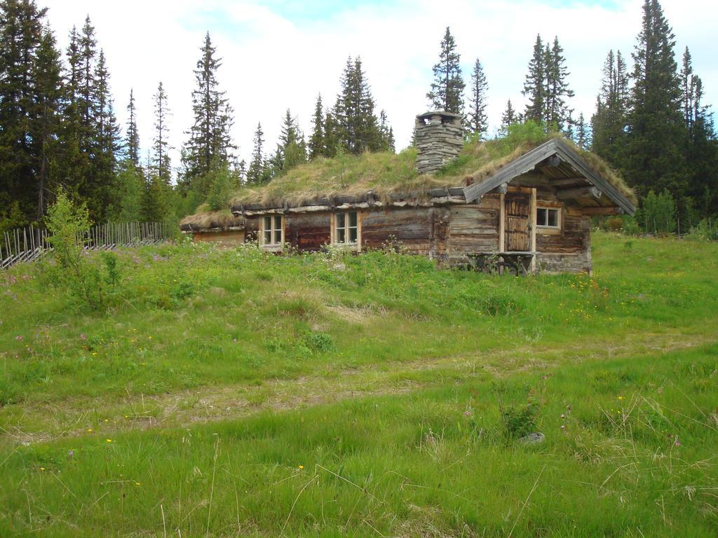 Fjaellriket Baggarden Villa Exterior photo